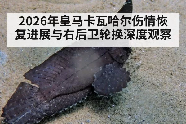 2026年皇马卡瓦哈尔伤情恢复进展与右后卫轮换深度观察
